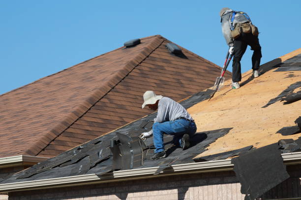 Best Wood Shake Roofing  in Ddleville, MI