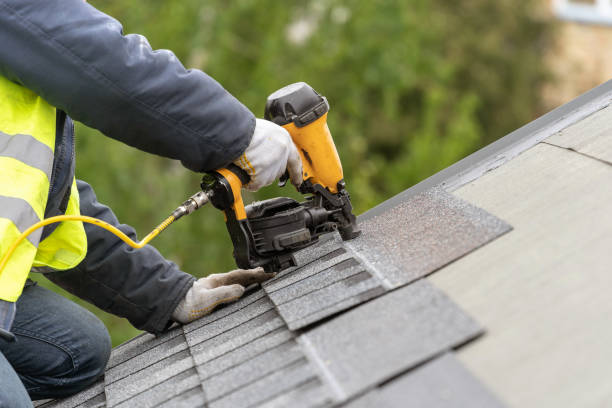 Best Roof Leak Repair  in Ddleville, MI